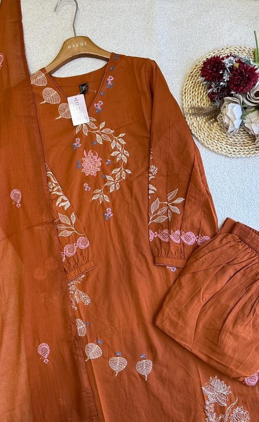 18920 Beautiful Embridered Suit set