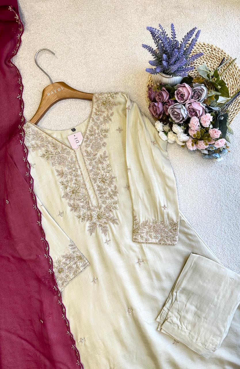 19176 Premium handworked partywear anarkali