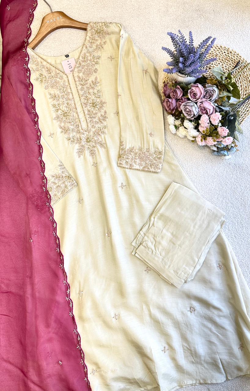 19176 Premium handworked partywear anarkali