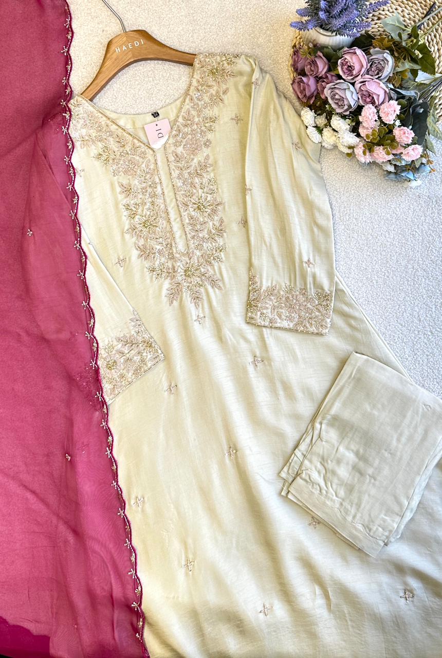 19176 Premium handworked partywear anarkali