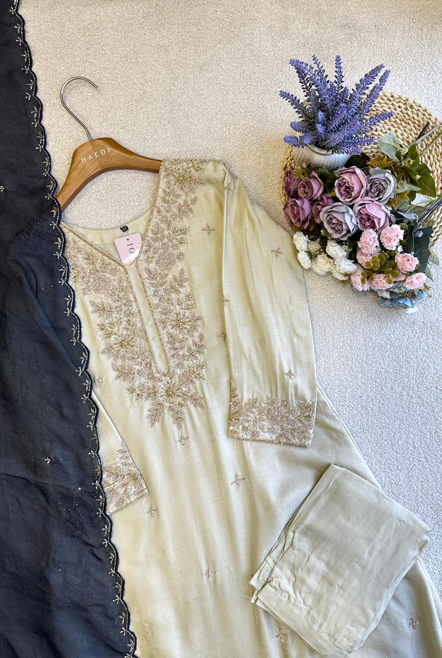 19176 Premium handworked partywear anarkali