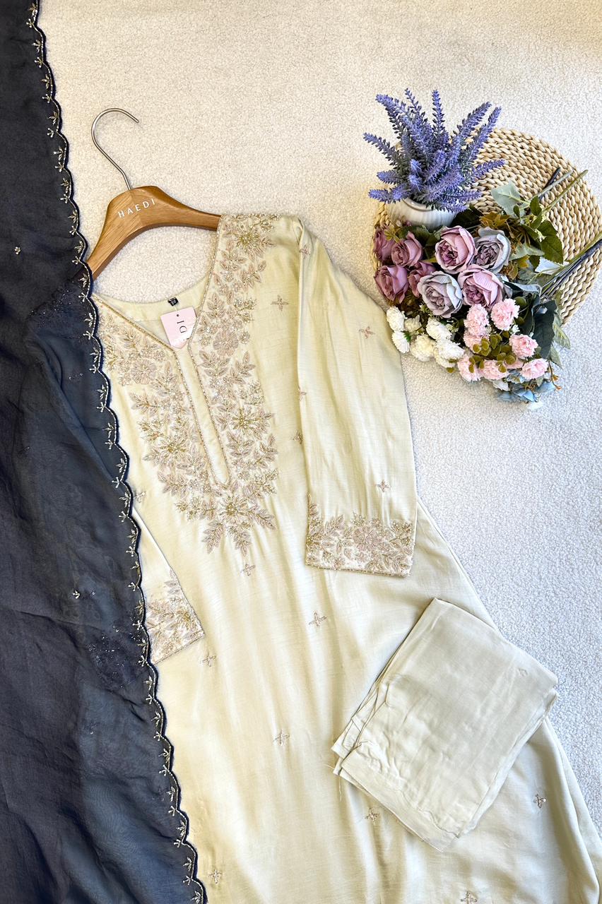 19176 Premium handworked partywear anarkali