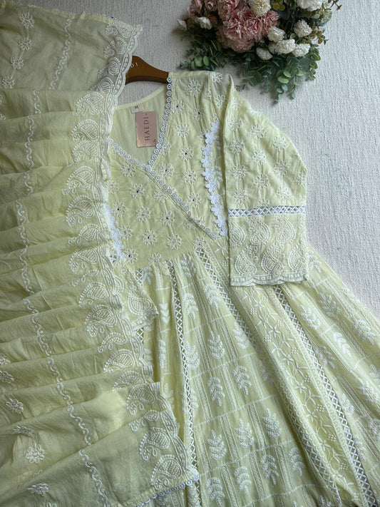20252 Beautiful embroidered anarkali