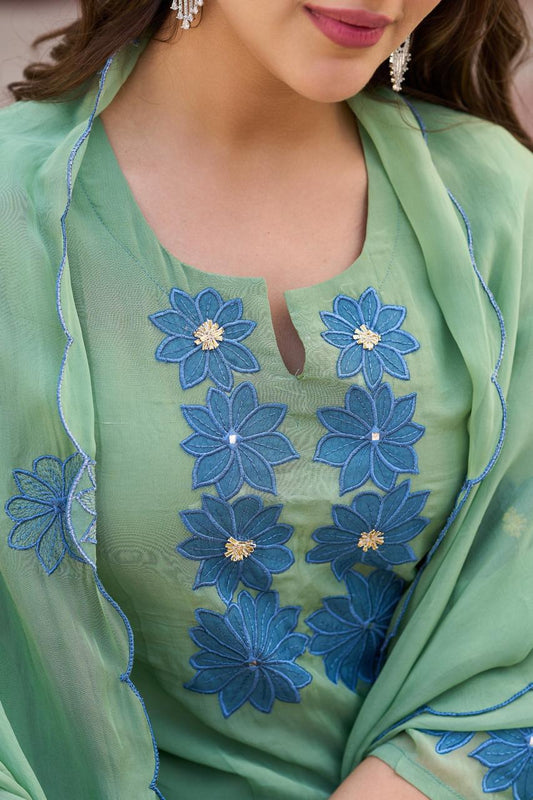 20268 Beautiful partywear suit with applique work