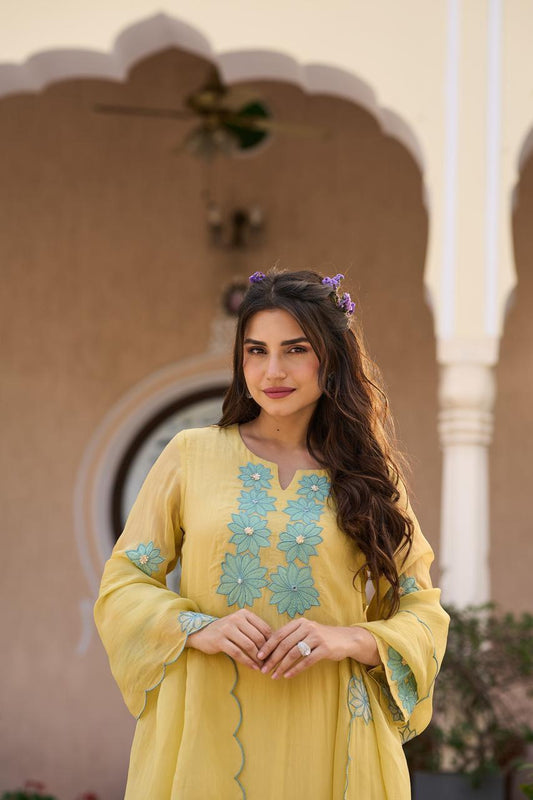 20268 Beautiful partywear suit with applique work