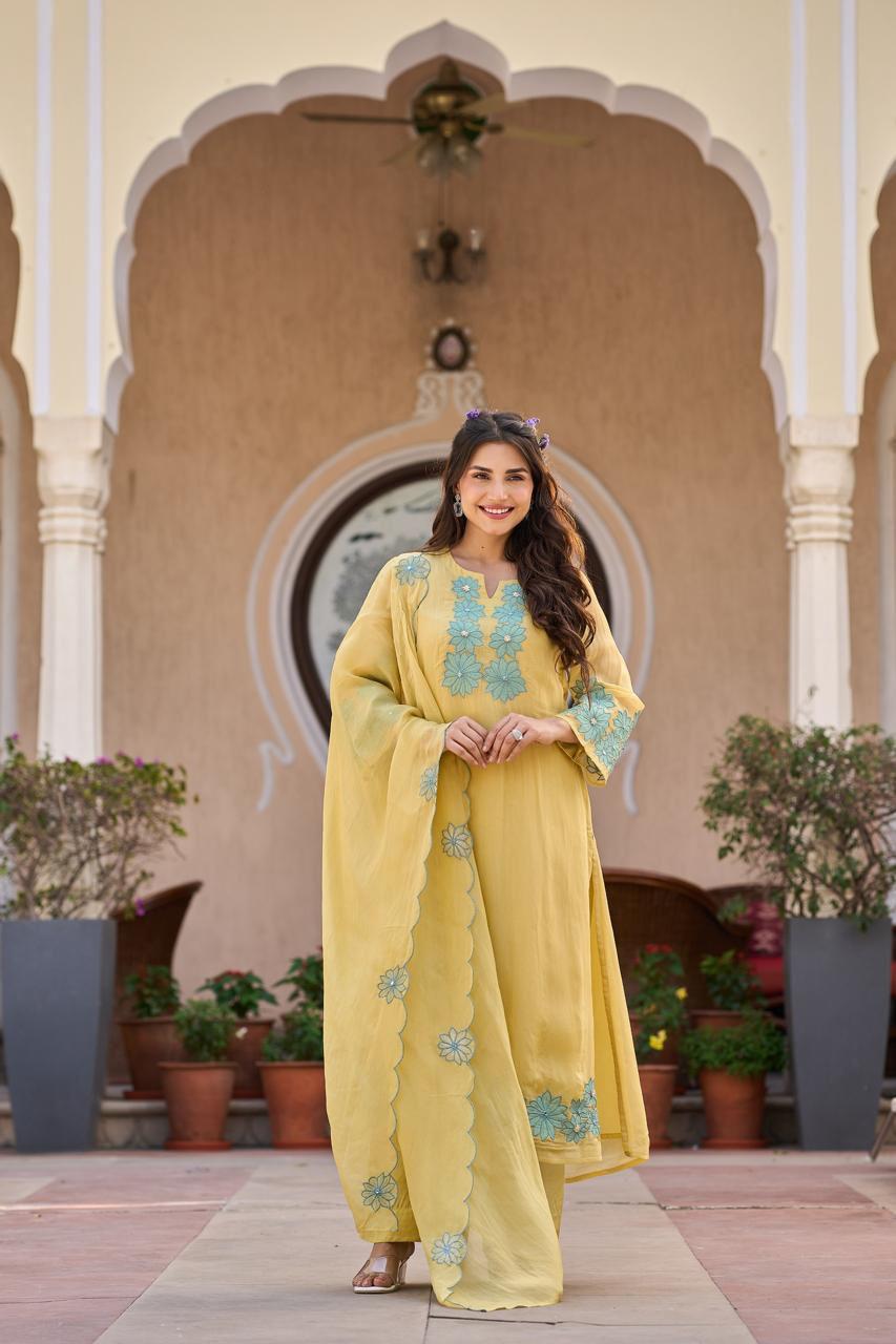 CMD 58192  Beautiful partywear suit with applique work