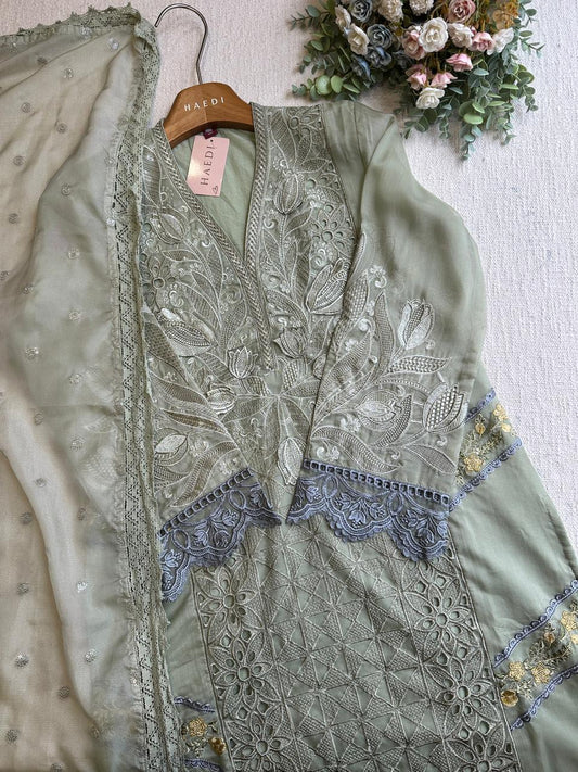 20254 Beautiful pakistani suit