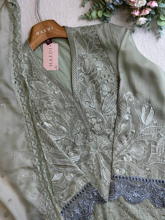 20254 Beautiful pakistani suit
