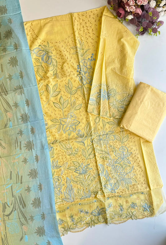 17948 Beautiful cotton semistiched suit