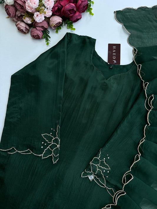 21047 Beautiful embroidered designer suit